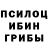Псилоцибиновые грибы Magic Shrooms Noaln