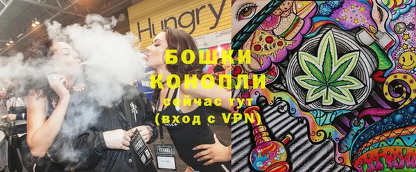 мяу мяу мука Гусь-Хрустальный