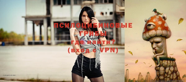 дурь Тобольск
