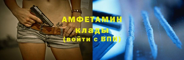 гашик Ельня